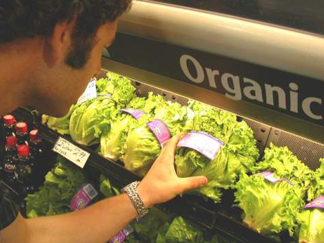 organiccabbages.PNG